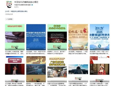 Wechat Official Account & Video Channel