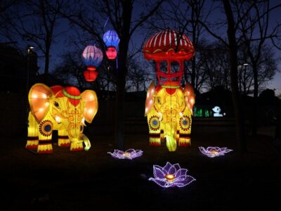lampion-fesztival-2024 (4)