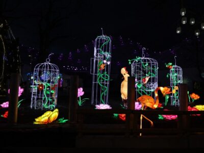 lampion-fesztival-2024 (5)
